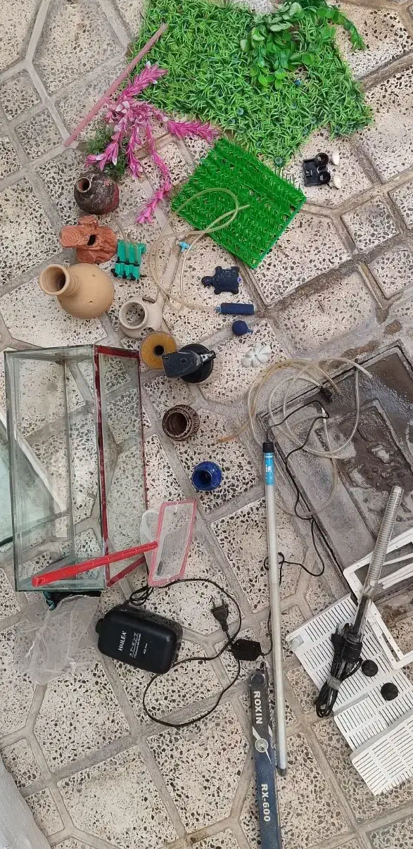 پکیج کامل آکواریوم|لوازم جانبی حیوانات|سنقر, |دیوار