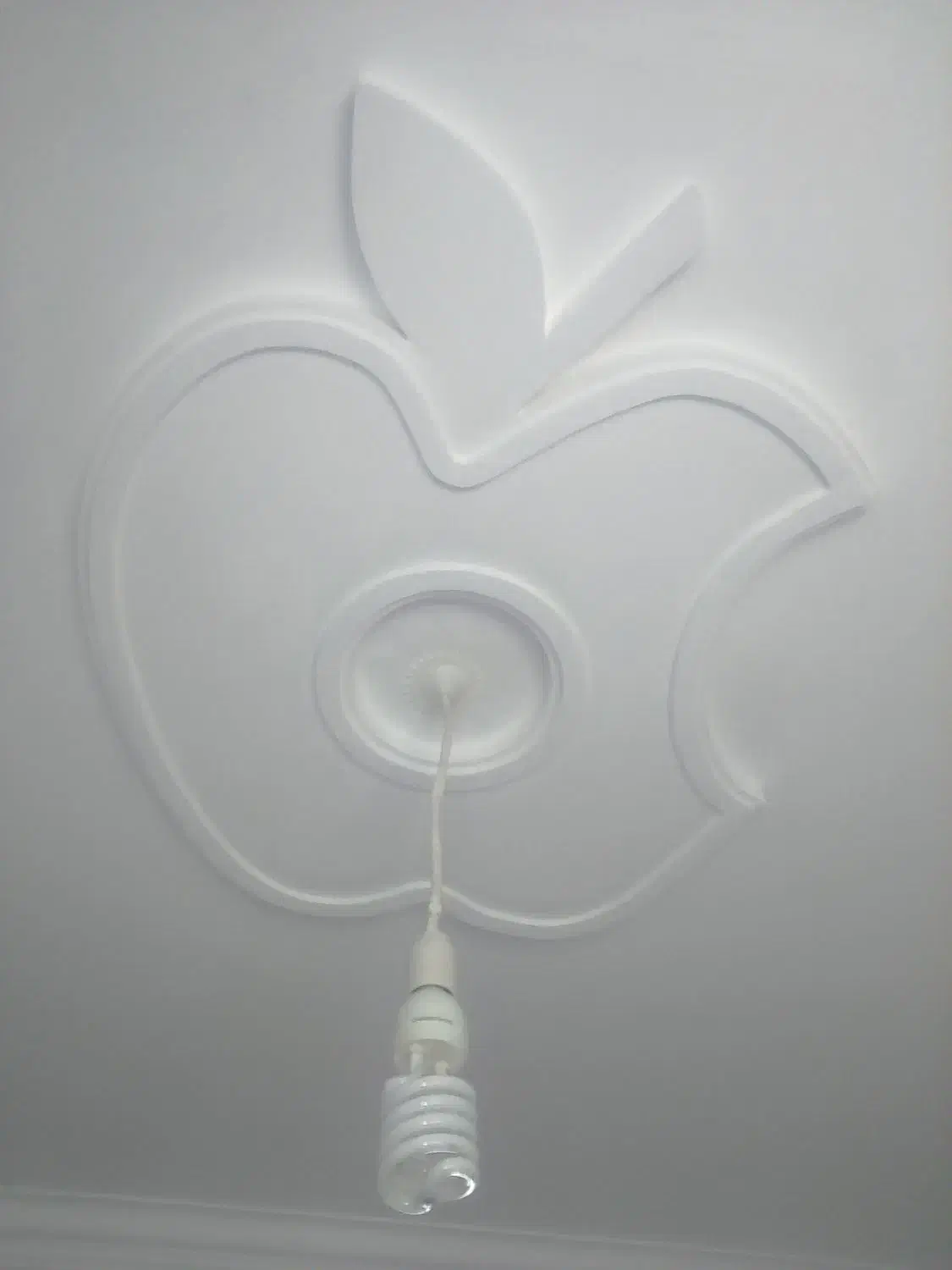 گچکاری وابزارکاری|خدمات پیشه و مهارت|خلخال, |دیوار