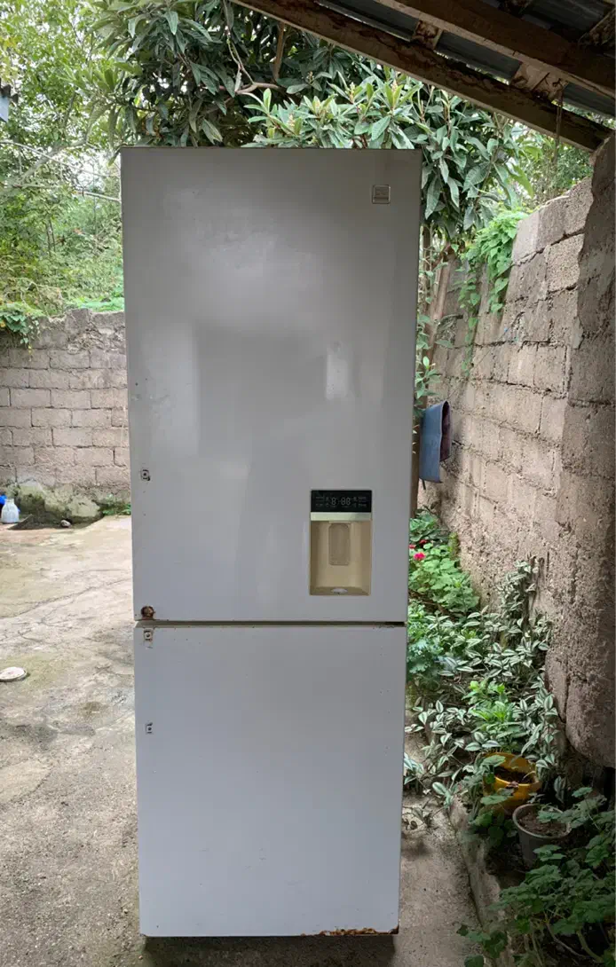 یخچال Daevoo|یخچال و فریزر|طاهرگوراب, |دیوار