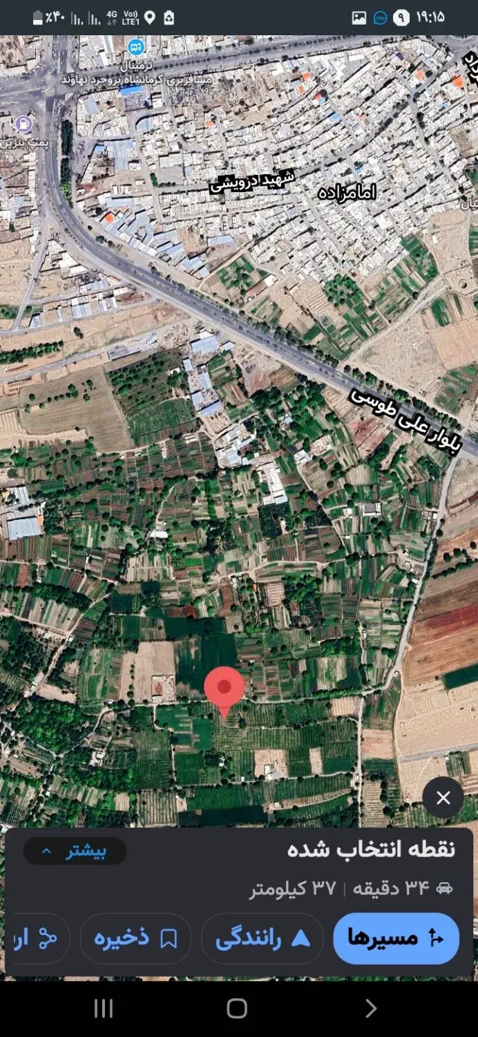 باغ انگوری در سنگ آباد|فروش دفتر صنعتی، کشاورزی، تجاری|ملایر, |دیوار