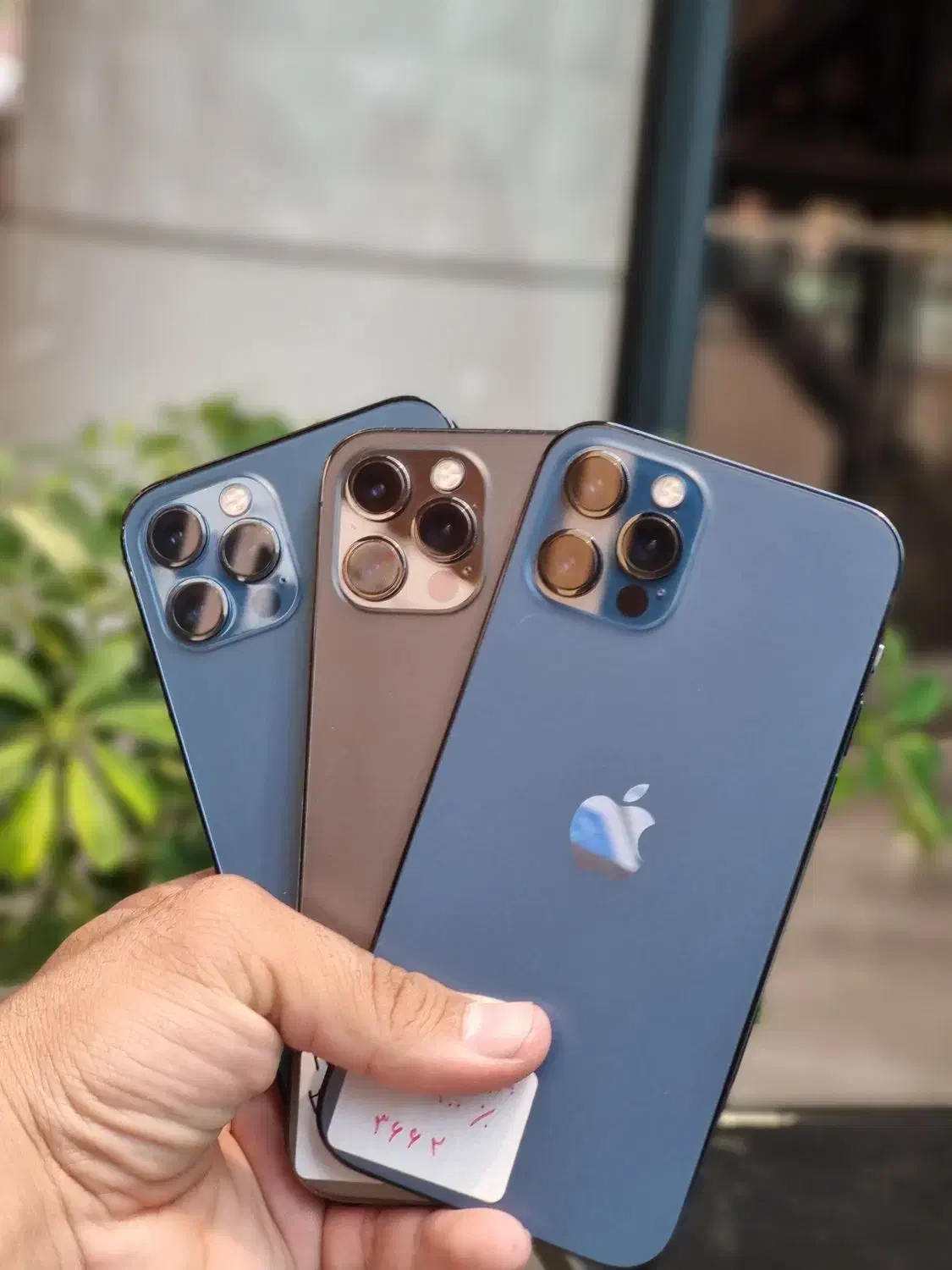 iPhone 12 pro 256g|موبایل|یزد, |دیوار