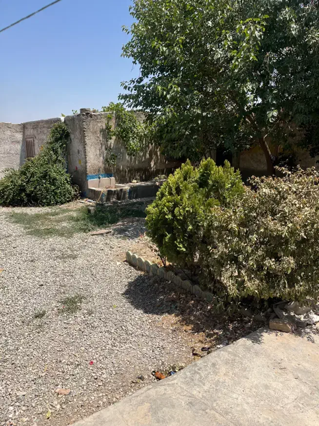 چهار دیواری ویلایی کارگا ۱۲۰ متری|فروش دفتر صنعتی، کشاورزی، تجاری|محمدشهر, علی آباد گونه|دیوار