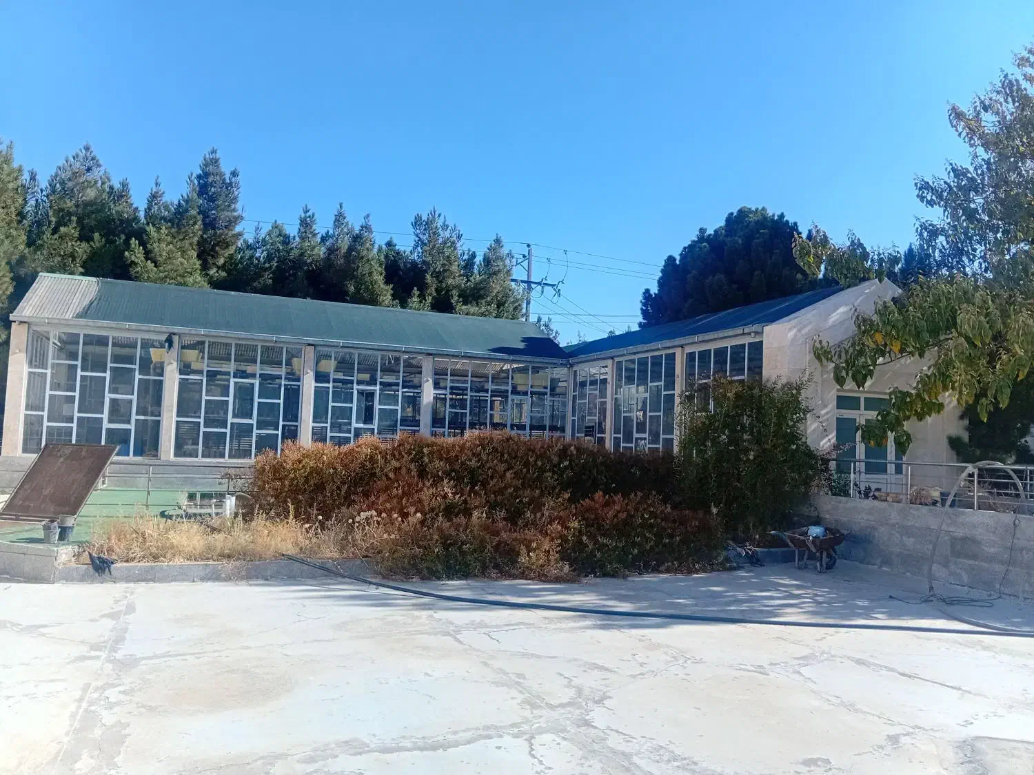 گلخانه پیشرفته|فروش دفتر صنعتی، کشاورزی، تجاری|فریمان, |دیوار