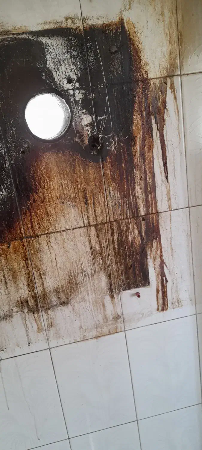 نظافت پاکی خدمات کلیه مغازه خانه آپارتمان نوساز|خدمات نظافت|کاشان, درب اصفهان|دیوار