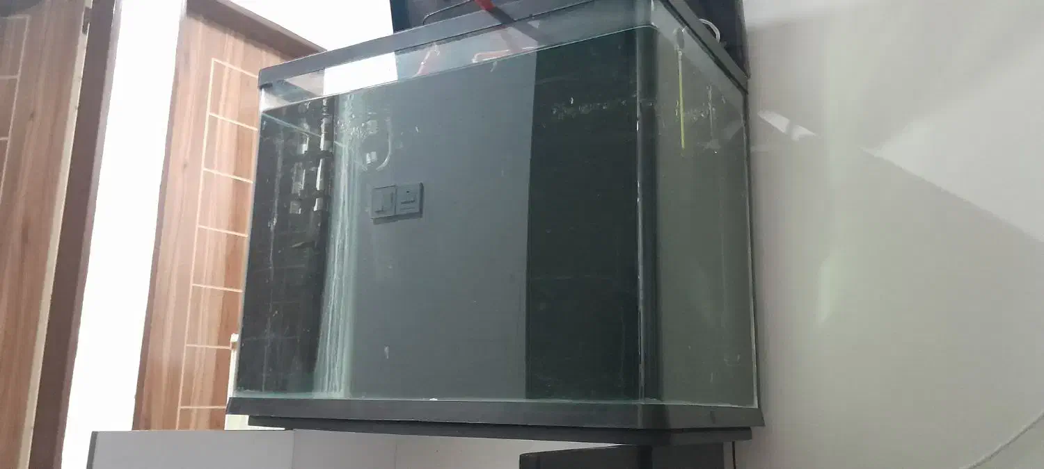 آکواریوم و وسایل|ماهی|گناباد, |دیوار