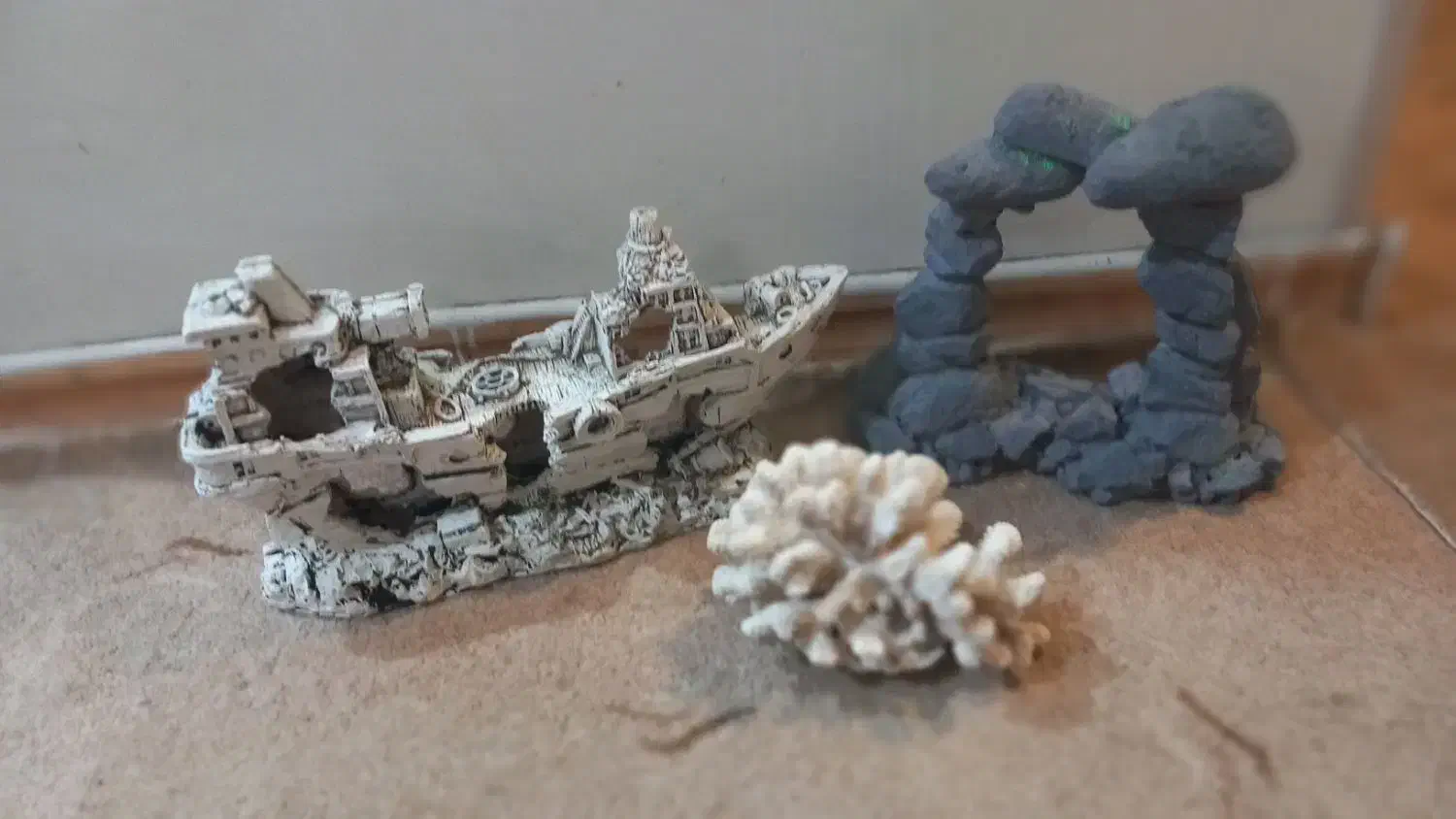 لوازم اکواریوم کشتی مرجان ...|ماهی|تهران, شهرک امام خمینی|دیوار