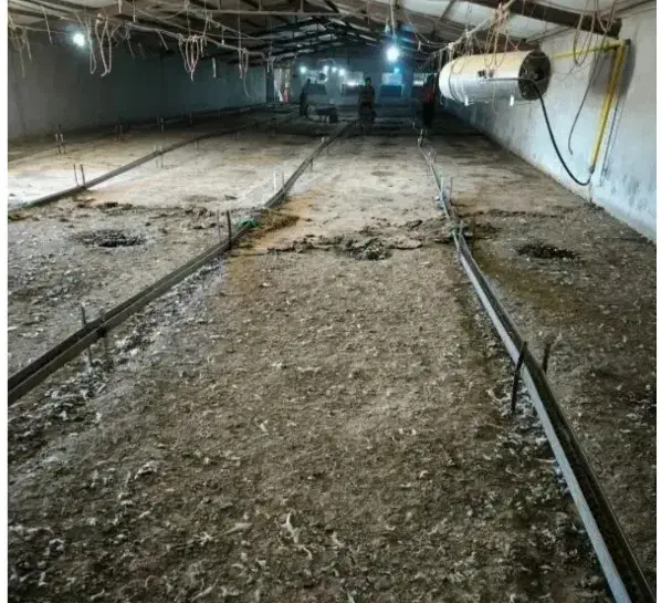 کودمرغی گوشتی|خدمات باغبانی و درختکاری|دهگلان, |دیوار