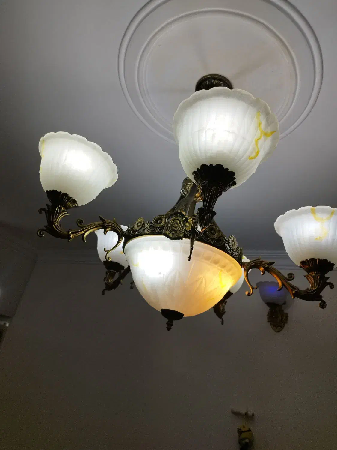 لوستر|لوستر و چراغ آویز|باغستان, |دیوار