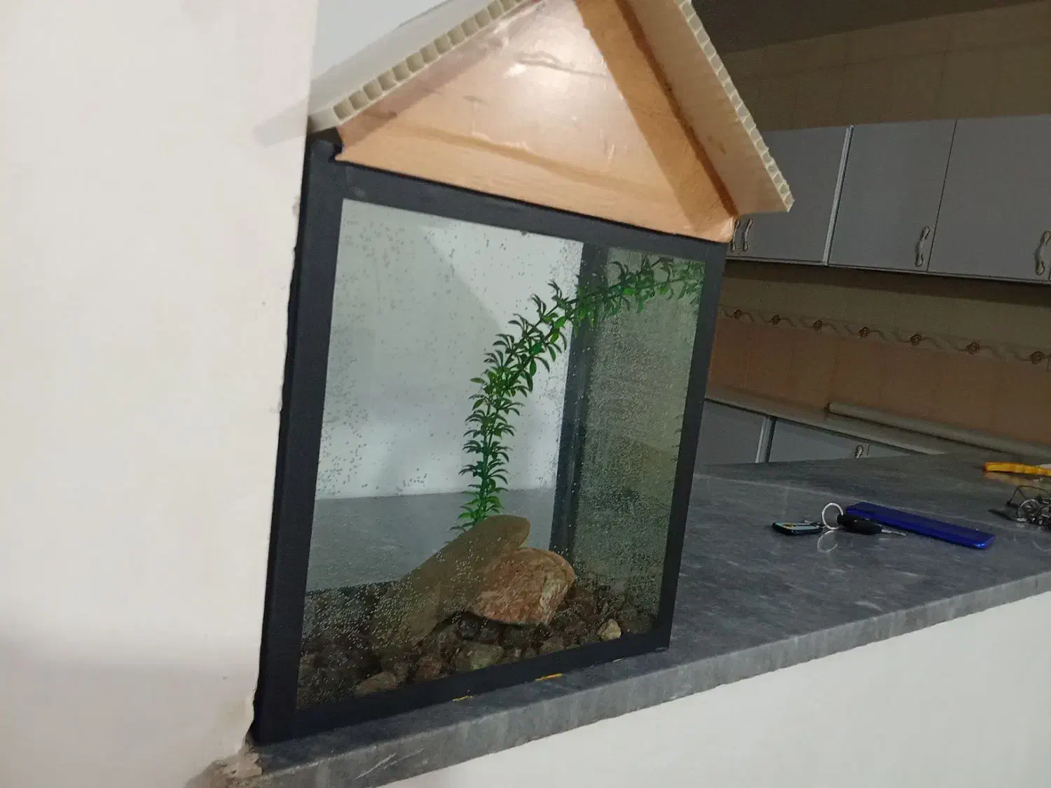 اکواریوم|ماهی|دیواندره, |دیوار