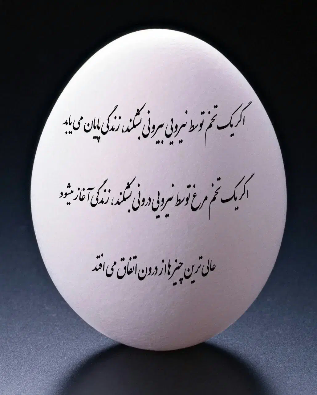 فروش پوسته تخم شتر مرغ|صنایع دستی و سایر لوازم تزئینی|پارسیان, |دیوار