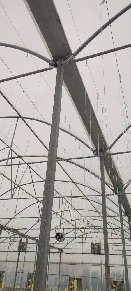 خرید و فروش گلخانه|خدمات پیشه و مهارت|شهرضا, |دیوار