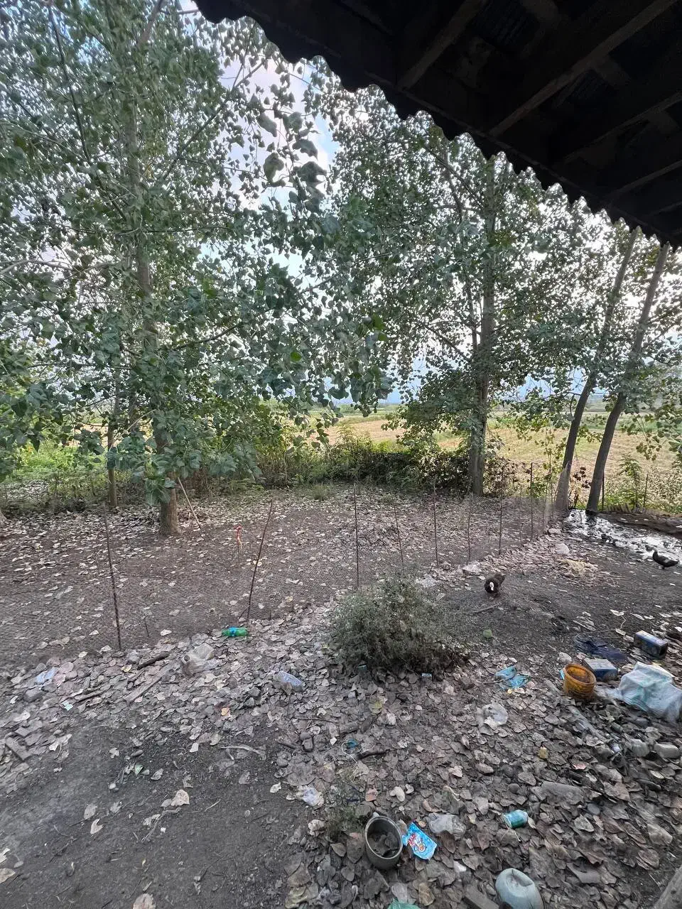 ویلای دنج و دلباز/۷۰۰ متری /لولمان|فروش خانه و ویلا|لولمان, |دیوار