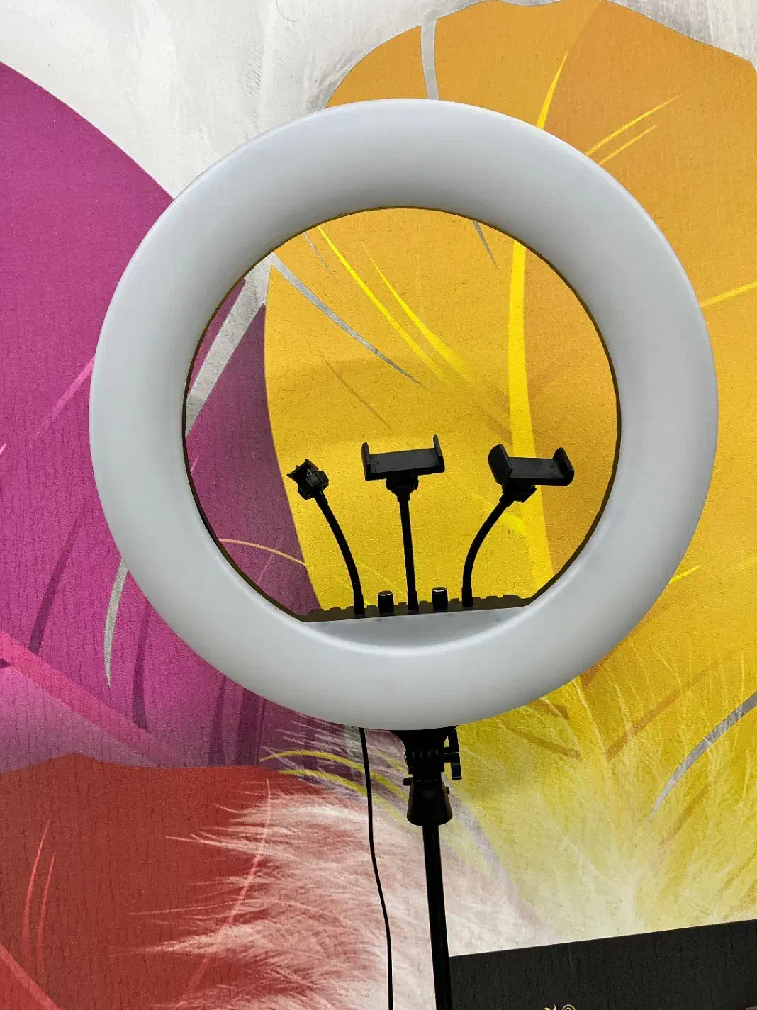 رینگ لایت|لامپ و چراغ|ملایر, |دیوار