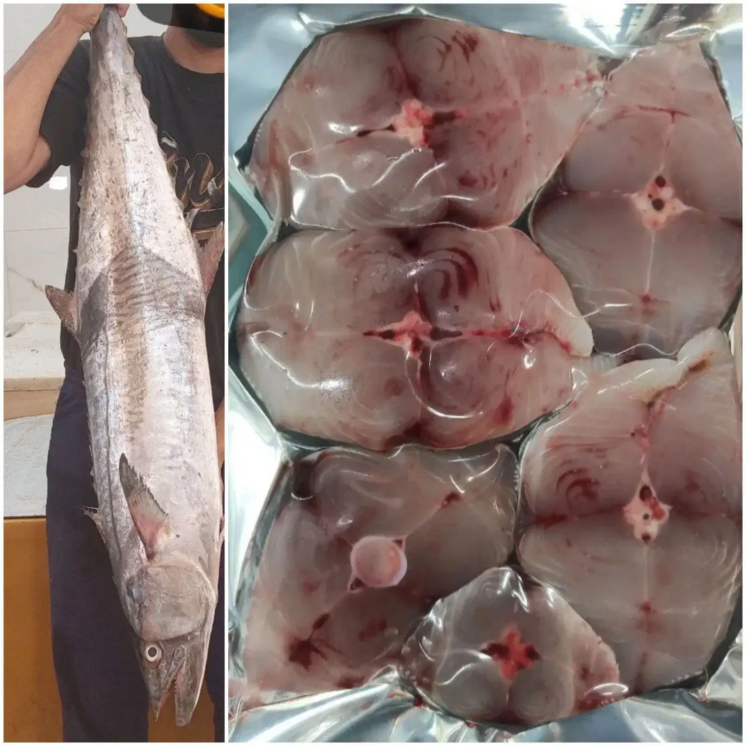 ماهی شیر بوشهر|خوردنی و آشامیدنی|تهران, قلهک|دیوار