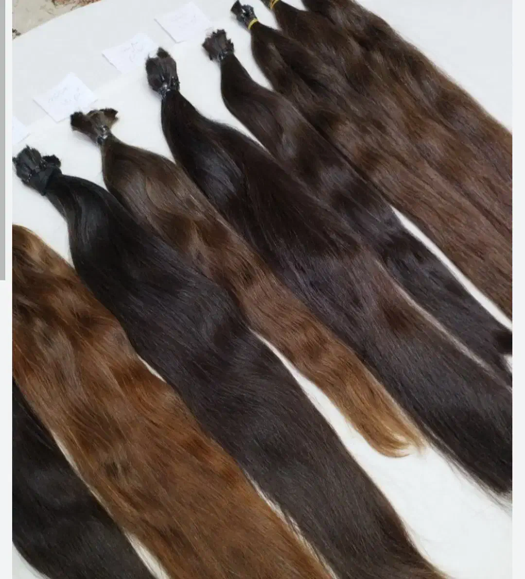 مرکز خرید تخصصی مو|آرایشی، بهداشتی، درمانی|اردبیل, |دیوار