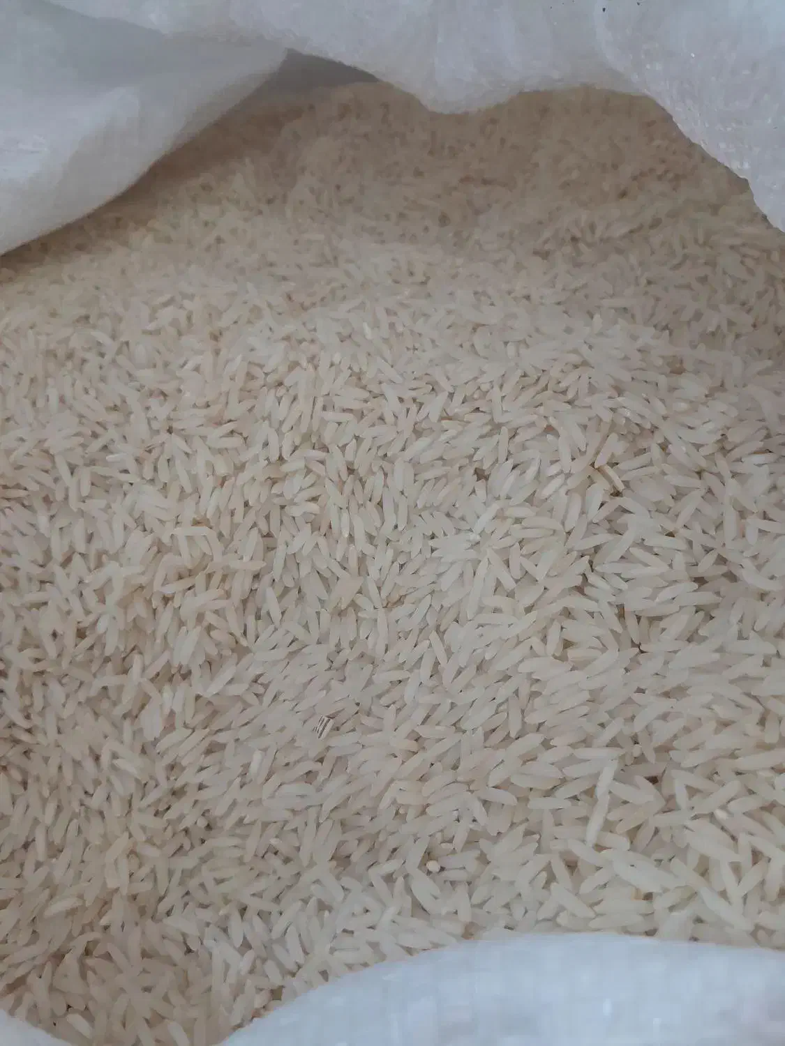 برنج هاشمی|خوردنی و آشامیدنی|اصفهان, شاهد|دیوار