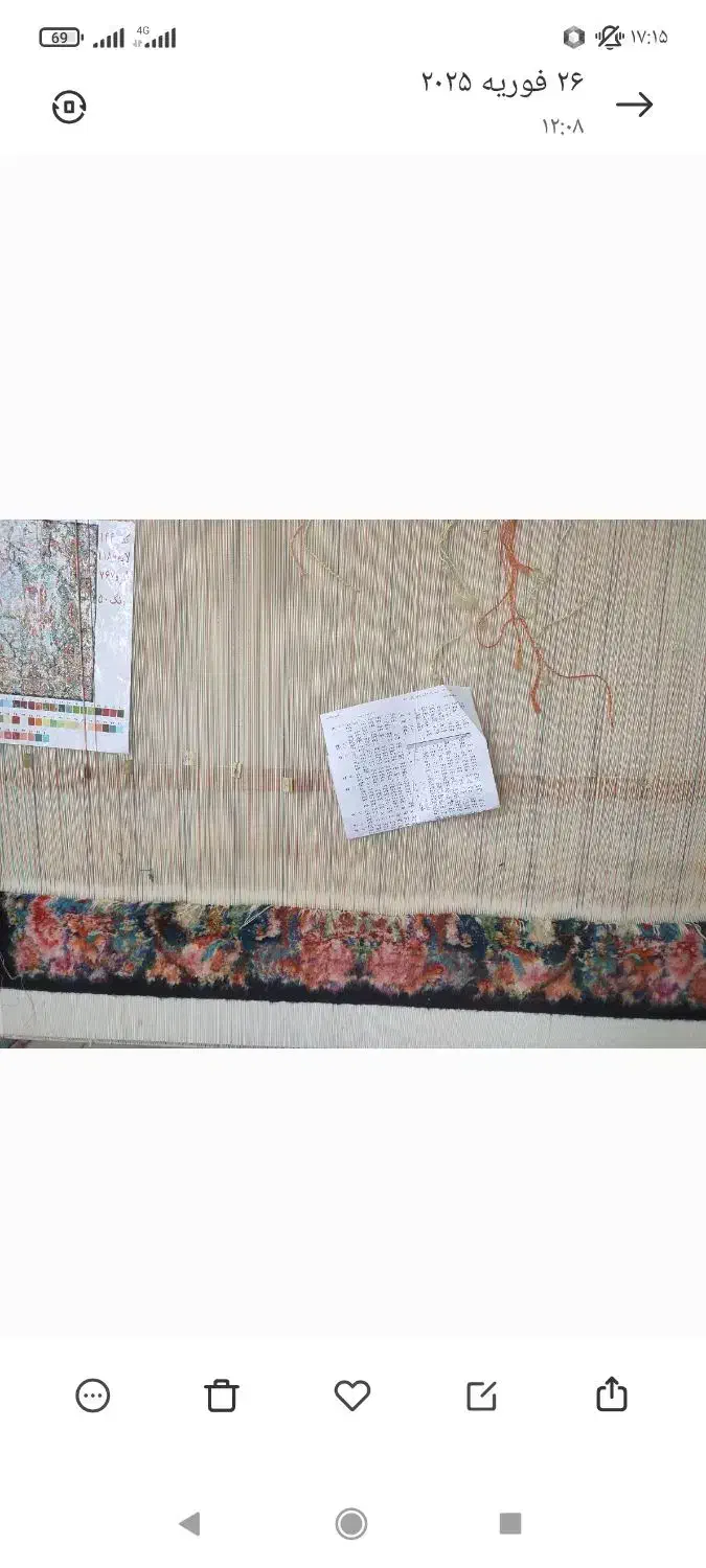 فرش سالاری|فرش|نقده, |دیوار