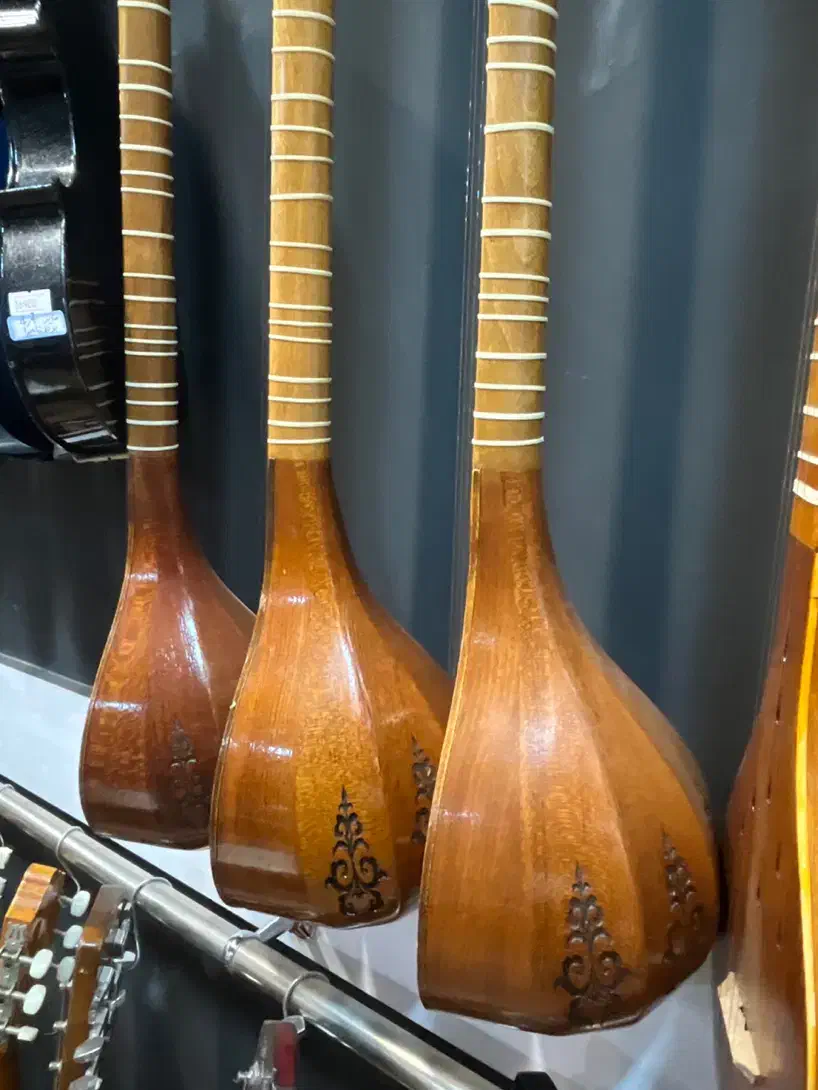 سه تار دلنواز سوخته کاری گالری موسیقی آرتیا شهرسبز|سازهای سنتی|لاهیجان, انقلاب|دیوار