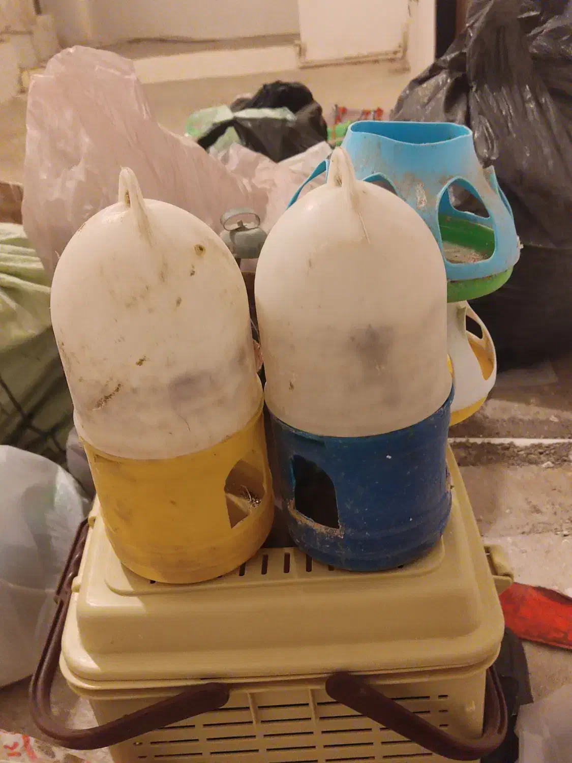 آبخوری کفتر جوجه|لوازم جانبی حیوانات|مشهد, نظام دوست|دیوار