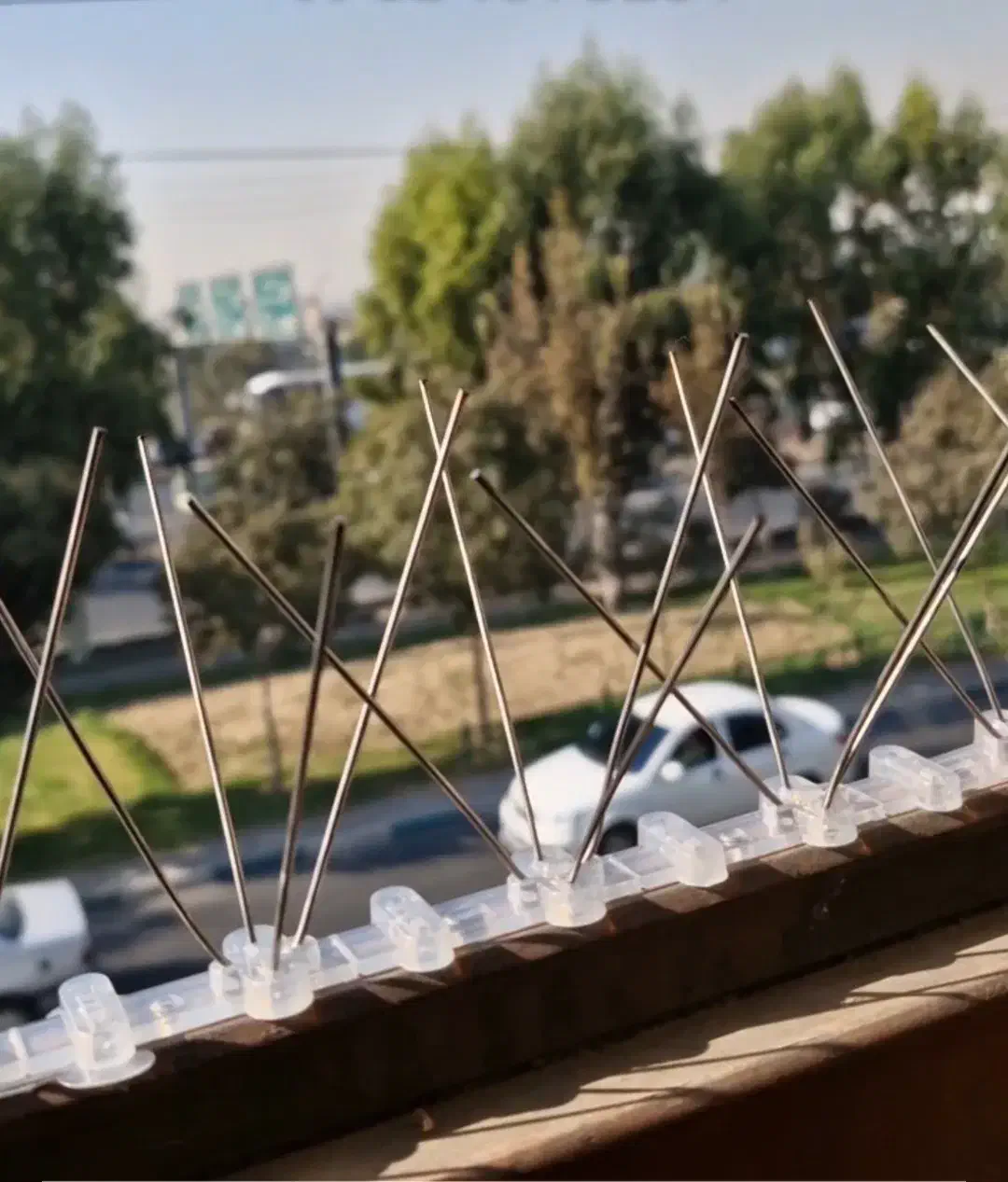 شاخک دور کننده کبوتر و پرندگان|مصالح و تجهیزات ساختمان|تهران, مسعودیه|دیوار