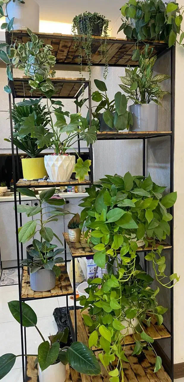 دکور فلزی، قفسه های تمام فلز|کتابخانه، شلف، قفسه‌های دیواری|مشهد, گرجی علیا|دیوار