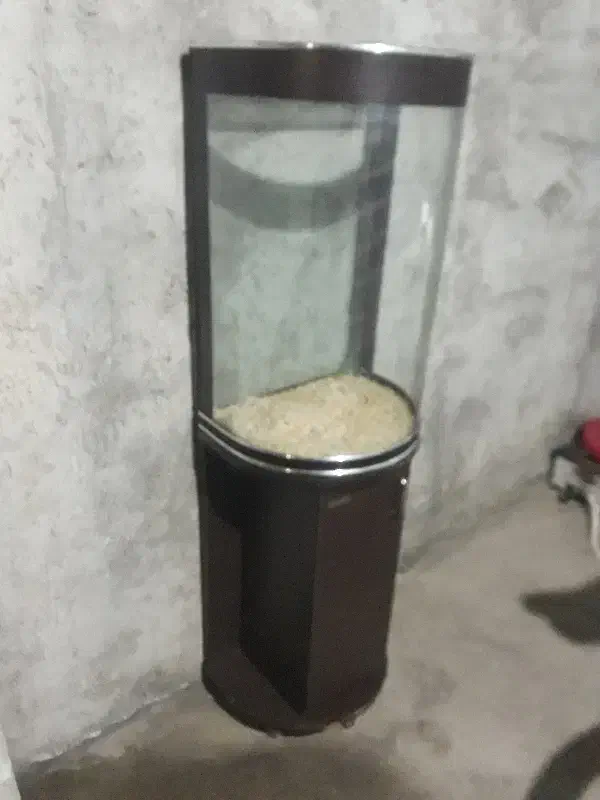 اکواریم|ماهی|میاندوآب, |دیوار