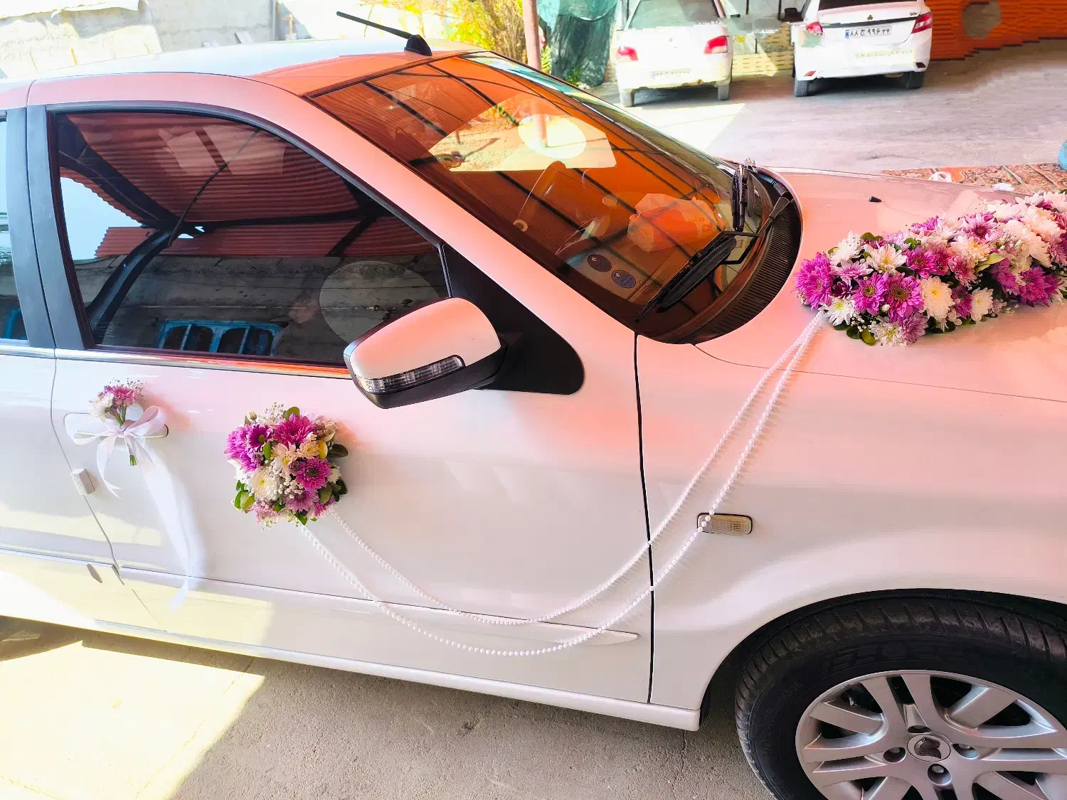 گلسرای علیسان|گل و گیاه طبیعی|بهبهان, |دیوار