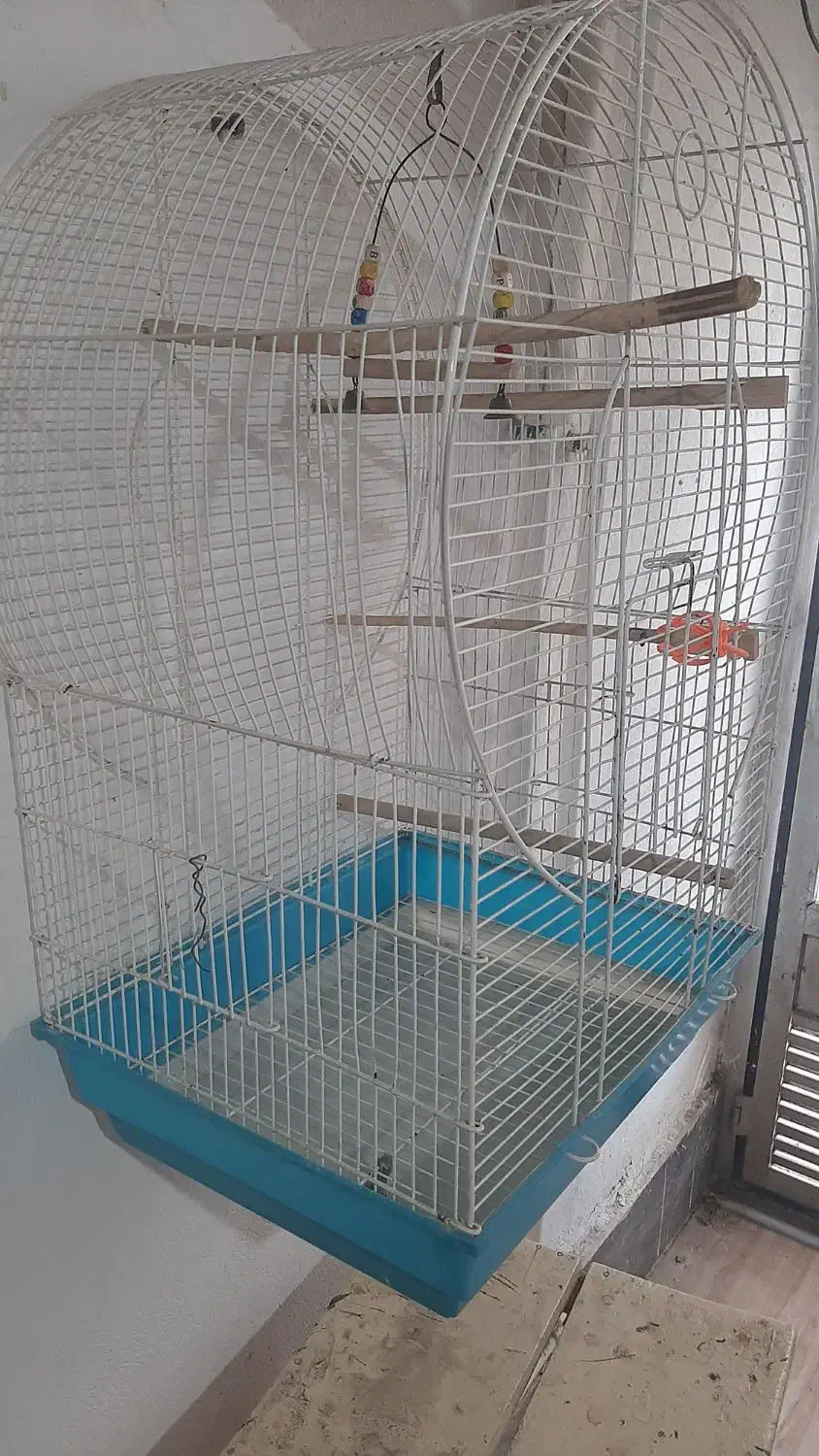 قفس طوطی عروس|لوازم جانبی حیوانات|رشت, اسماعیل آباد|دیوار