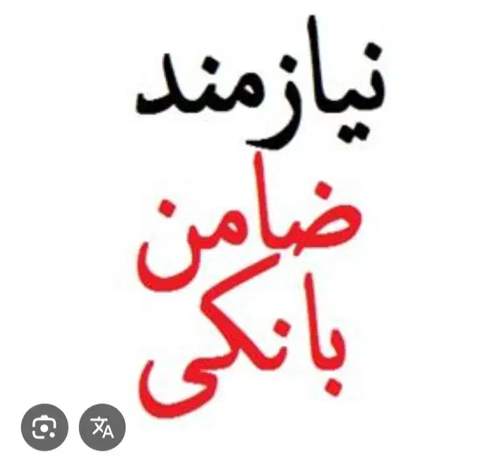 وام گیرنده یا ضامن رتبه بالا|فعالیت داوطلبانه|سبزوار, امیر کبیر|دیوار