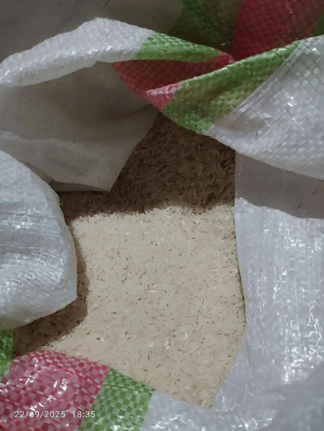 برنج کشت دوم دابودشت کیلویی ۳۰۰|خوردنی و آشامیدنی|دابودشت, |دیوار