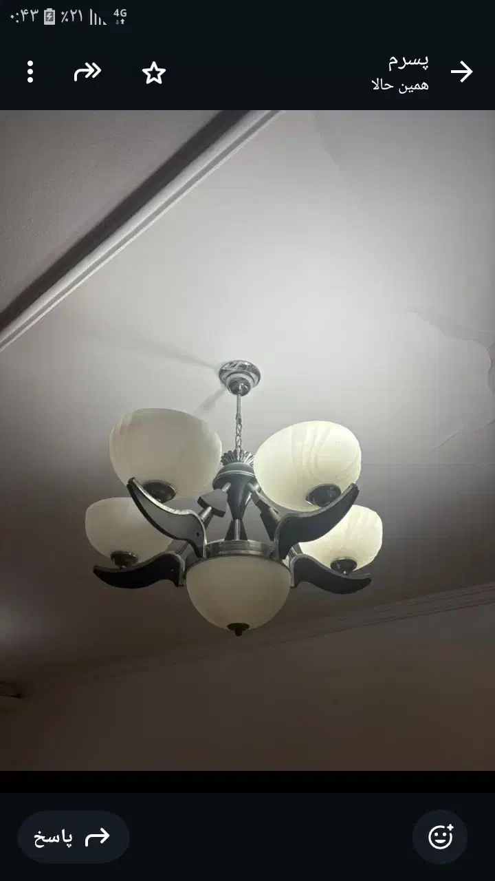 دوعدد لوستر سالم|لوستر و چراغ آویز|گرگان, |دیوار