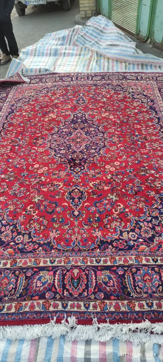 فرش ۱۲متری کاشمر|فرش|اسکو, |دیوار