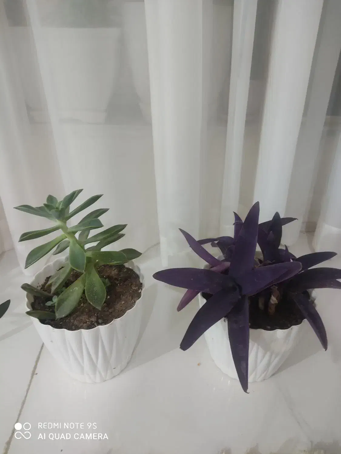 وسایل منزل|حراج|تبریز, |دیوار