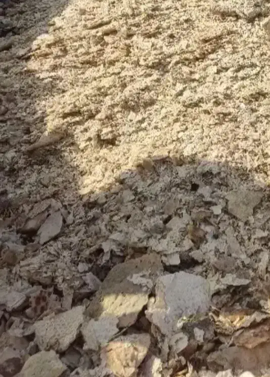 نان خشک|لوازم جانبی حیوانات|کبودرآهنگ, |دیوار