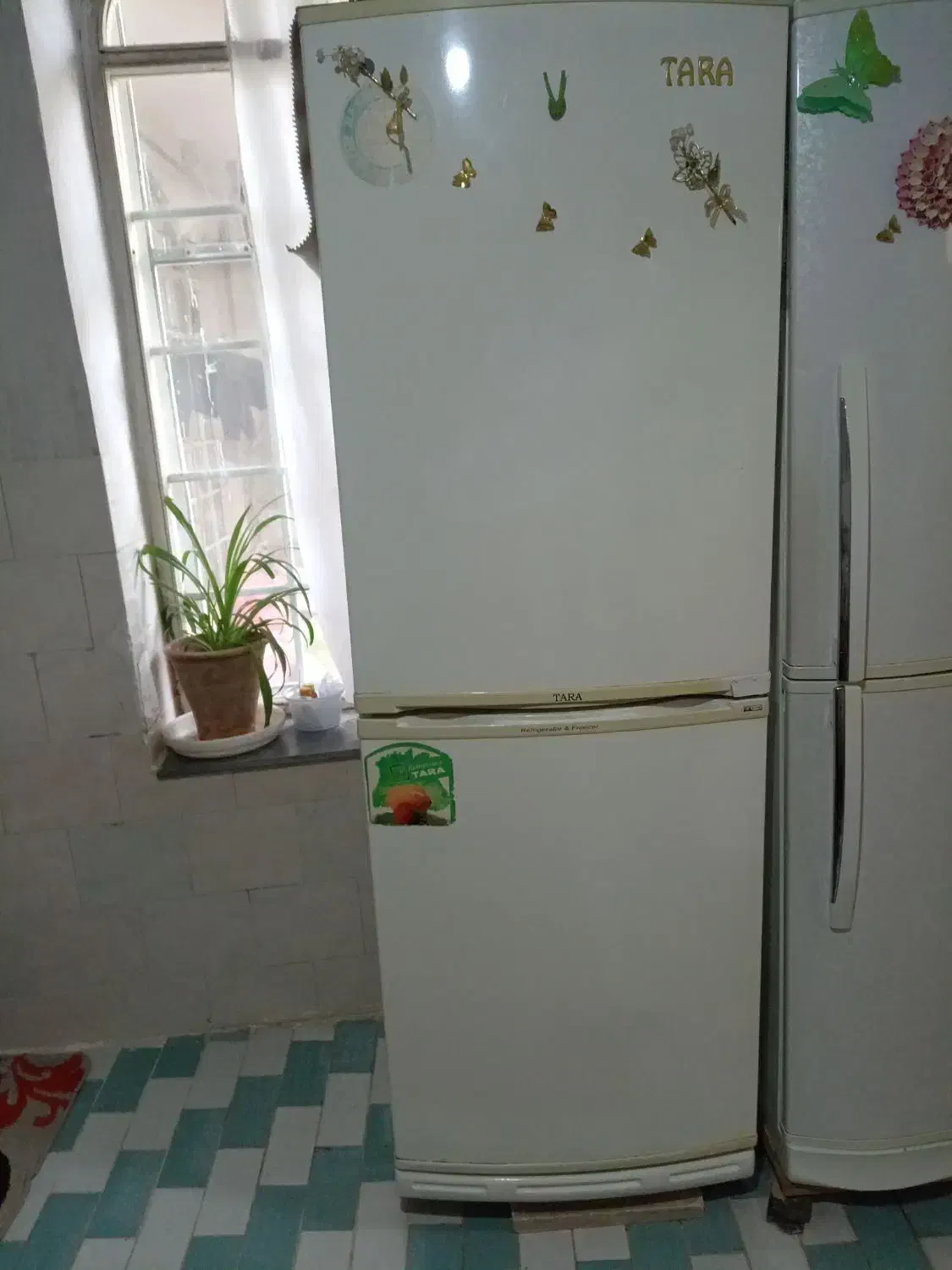 یخچال فریزر|یخچال و فریزر|خوی, |دیوار