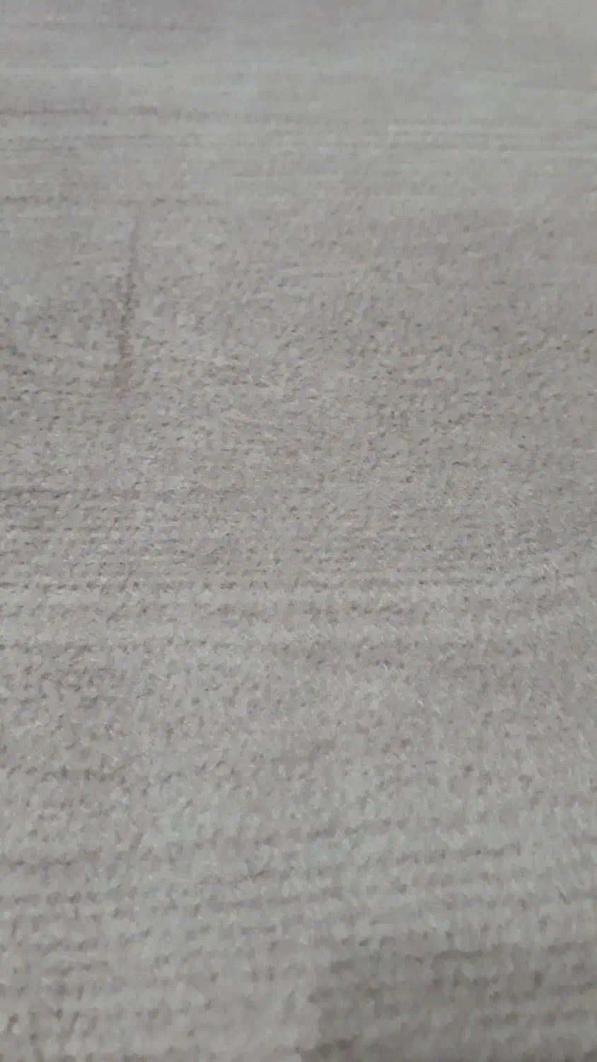 موکت سالم و تمیز|موکت|دزفول, |دیوار