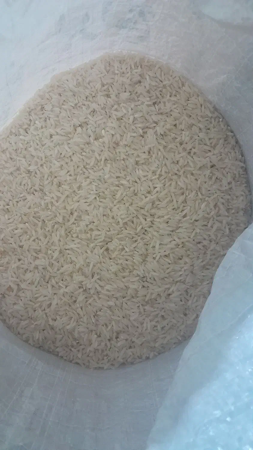 برنج طارم شیروان درجه یک|خوردنی و آشامیدنی|ایلام, |دیوار