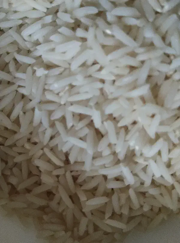 محصولات کشاورزی|عمده‌فروشی|مینودشت, |دیوار