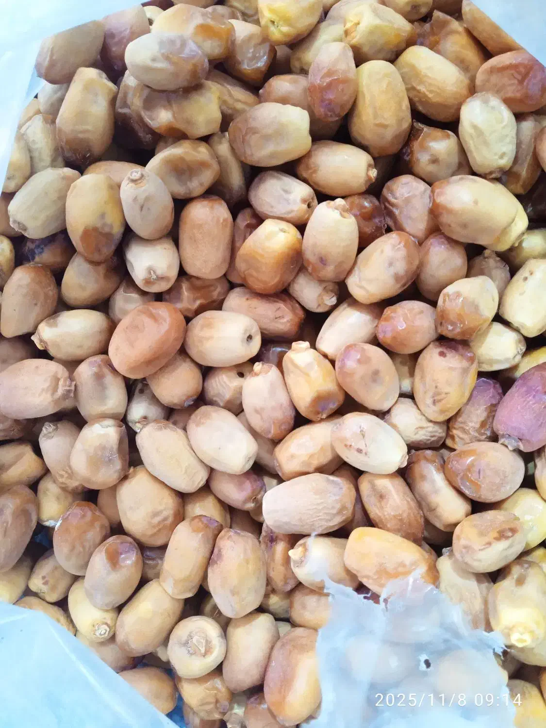 زاهدی|حراج|برازجان, |دیوار