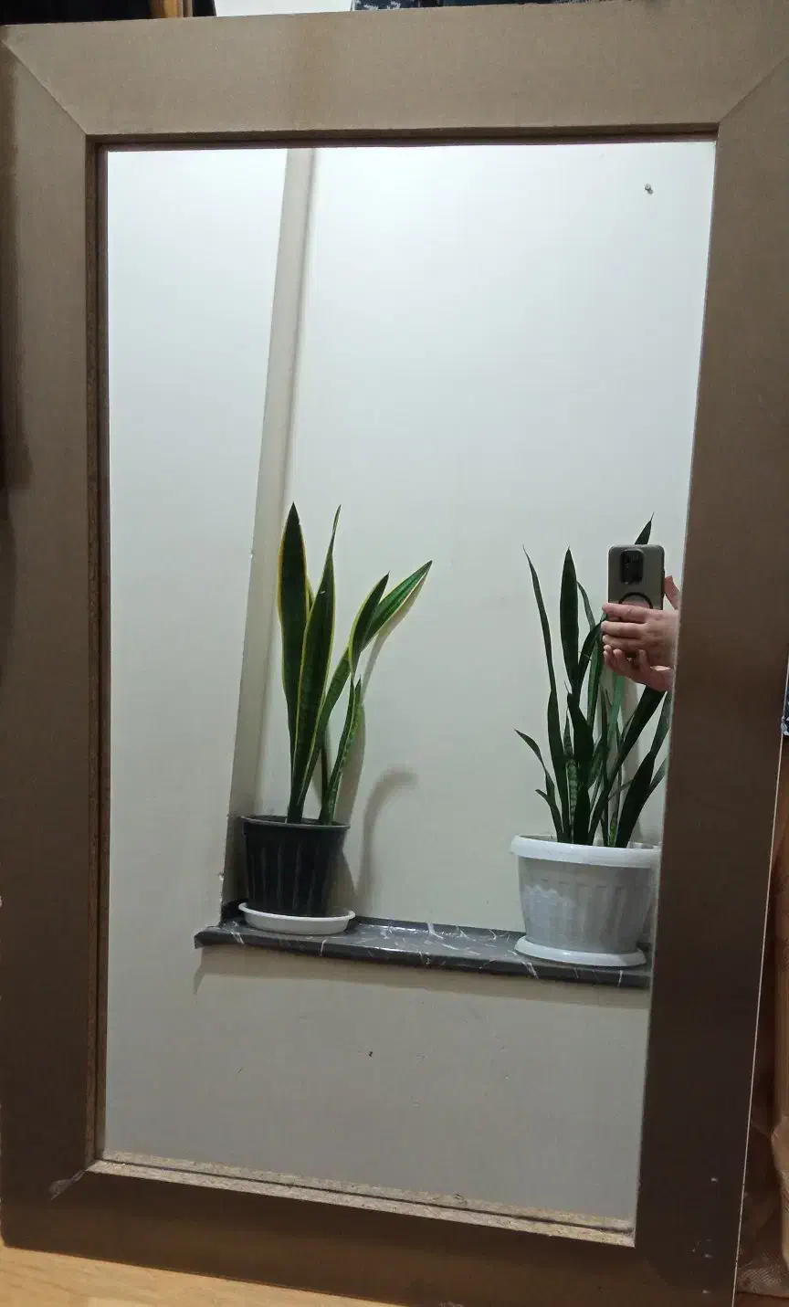 آینه|آینه|مشهد, شهرک بهارستان|دیوار