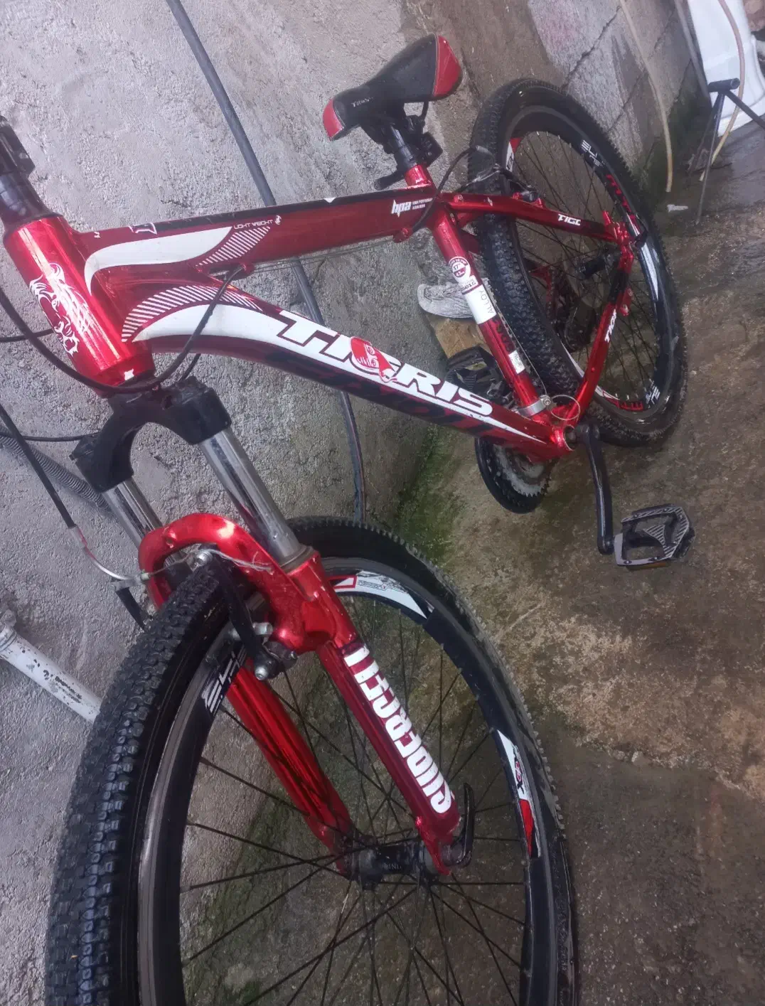 دوچرخه تایگر سایز ۲۶|دوچرخه، اسکیت، اسکوتر|گالیکش, |دیوار