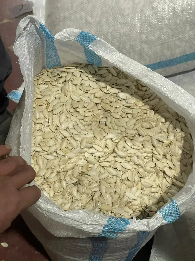 کدو بذر خارجی(هیبرید) درجه ۱ یه دست|عمدهفروشی|آباده, |دیوار