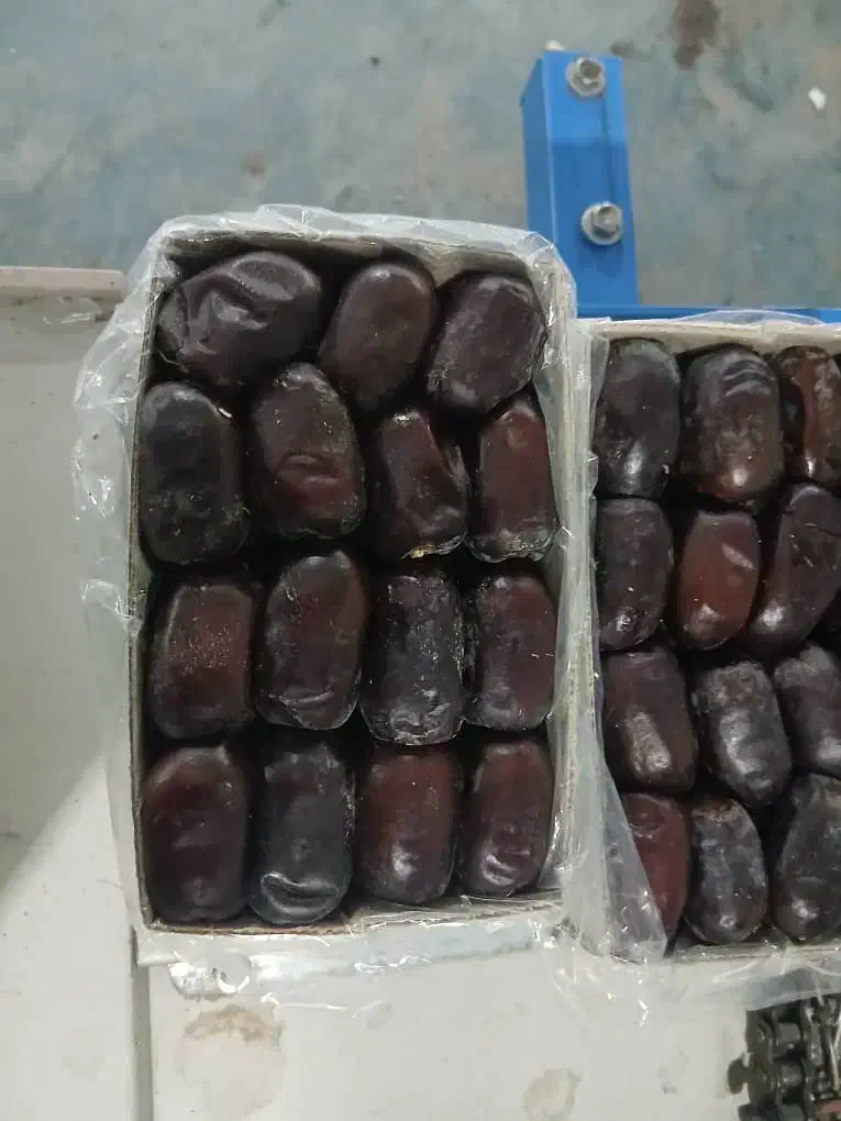 خرید و فروش خرمای مظافتی و کلوته و زاهدی|عمدهفروشی|تهران, میدان میوه و ترهبار مرکزی|دیوار