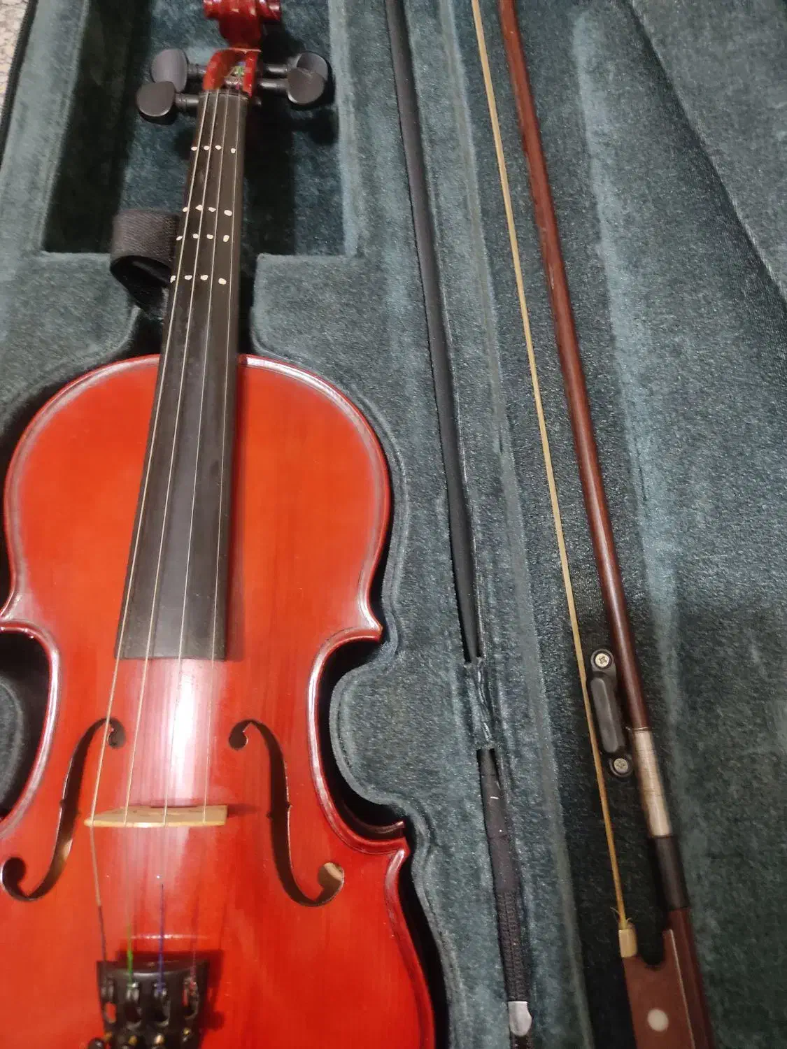 ویولن Renato 3/4|ویولن|همدان, |دیوار