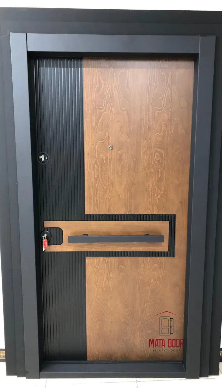 ضدسرقت اکونومی درب ضدسرقت آماده تحویل ضدحریق|مصالح و تجهیزات ساختمان|تهران, تهرانپارس غربی|دیوار