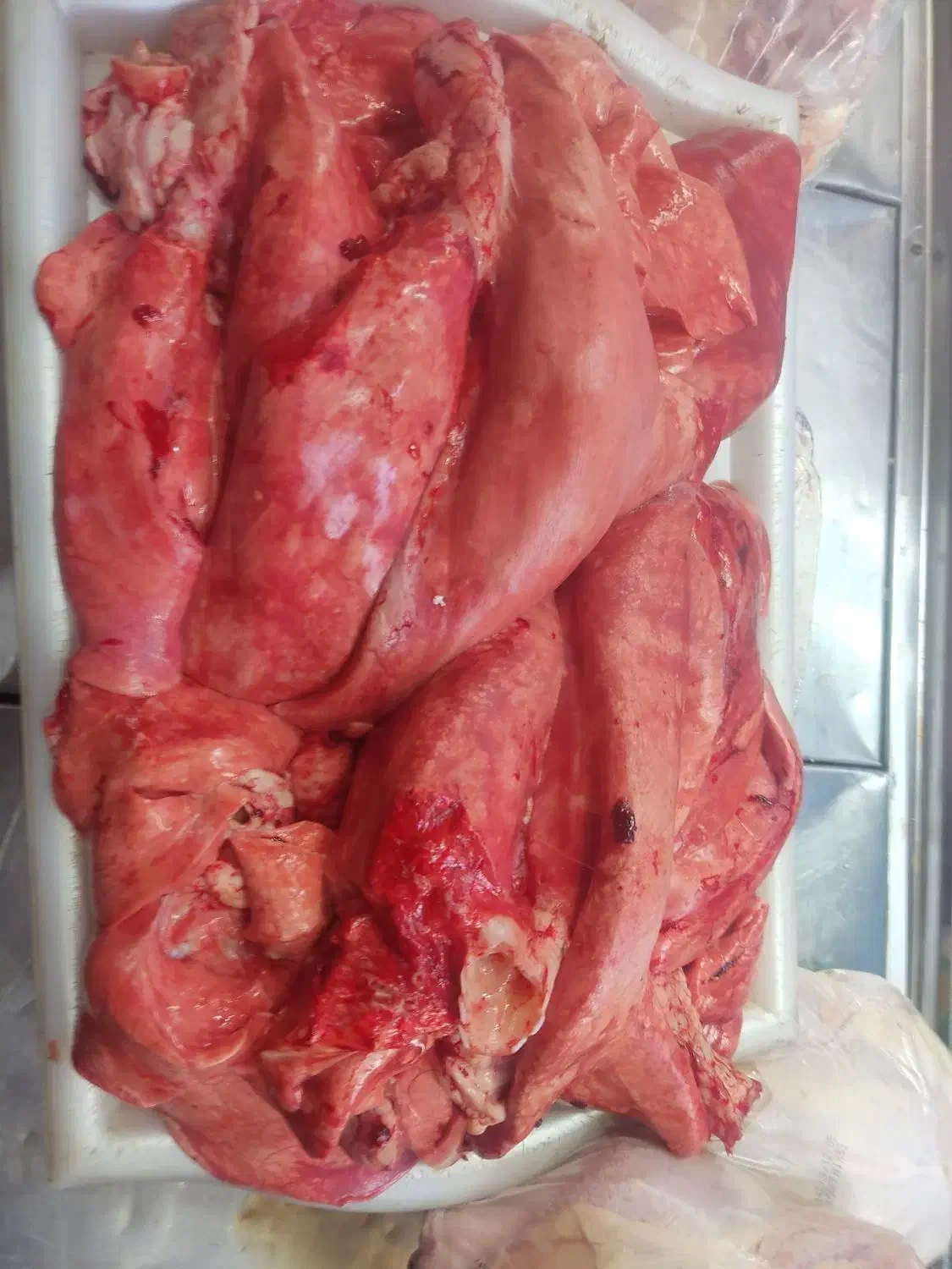 فروش قلم ، پاچه ، دنبه ، جگر|حراج|شیروان (خراسان), |دیوار