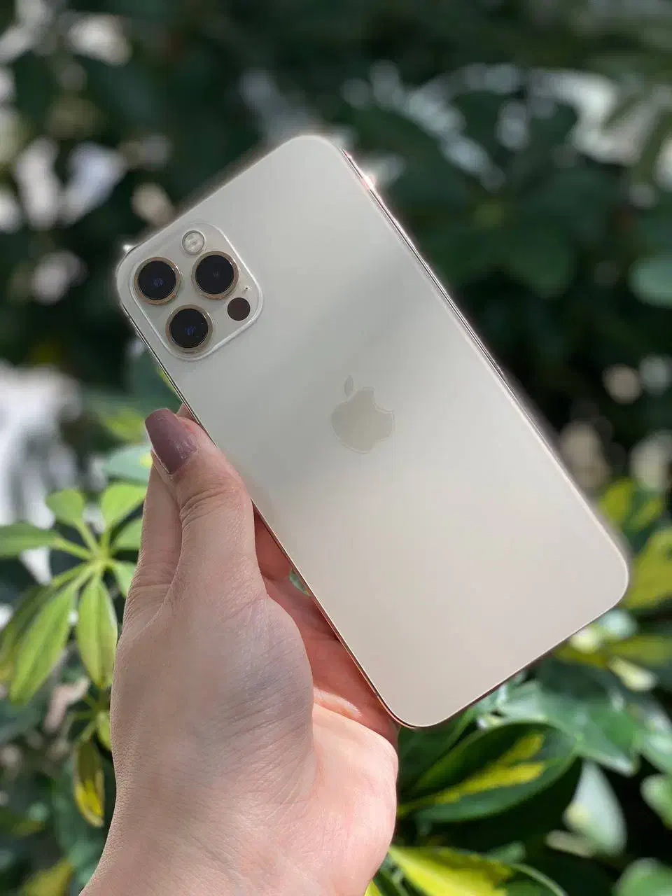 12 پرو|موبایل|کاشمر, |دیوار