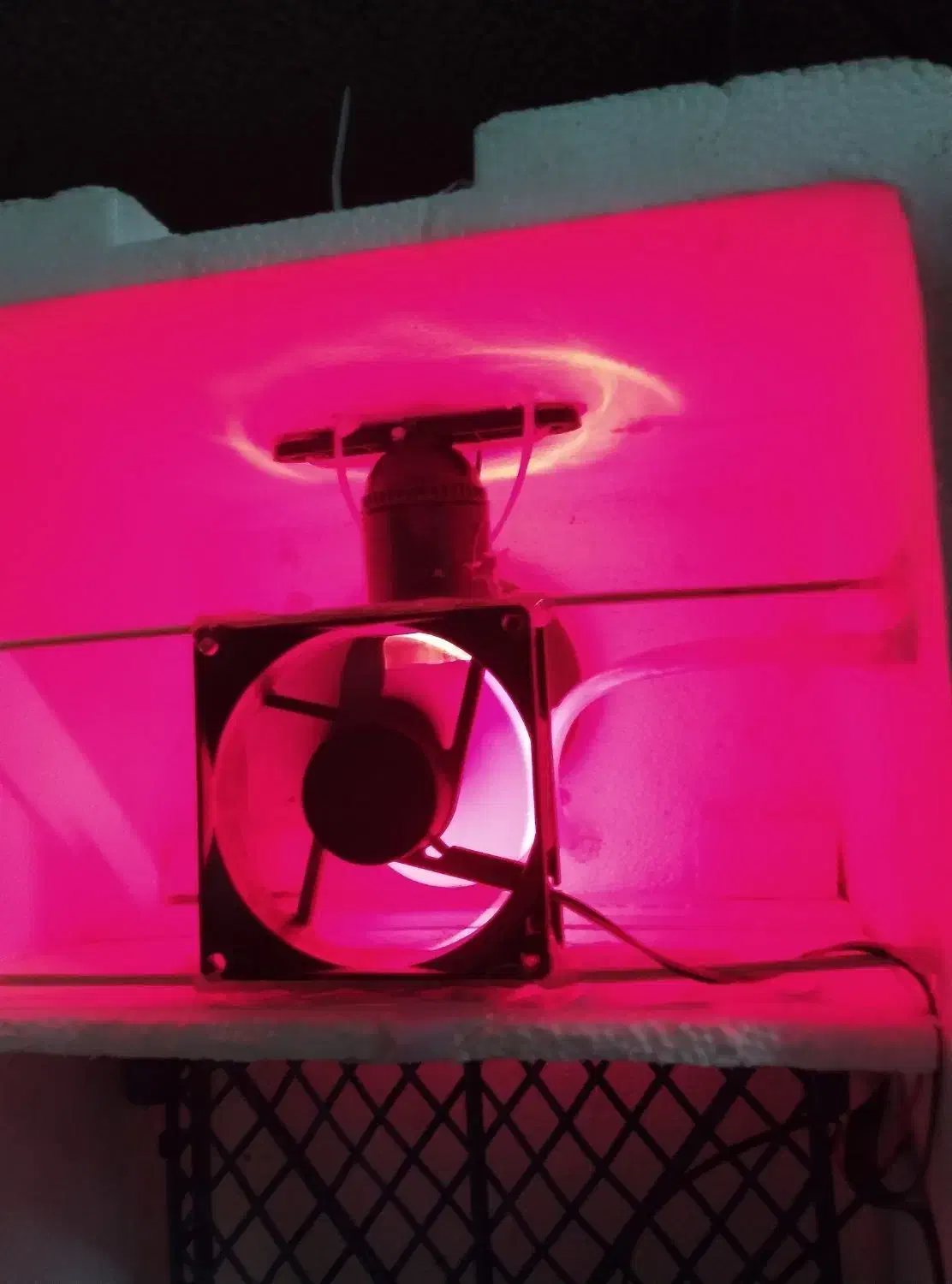 دستگاه جوجه کشی|لوازم جانبی حیوانات|مشهد, هنرور|دیوار