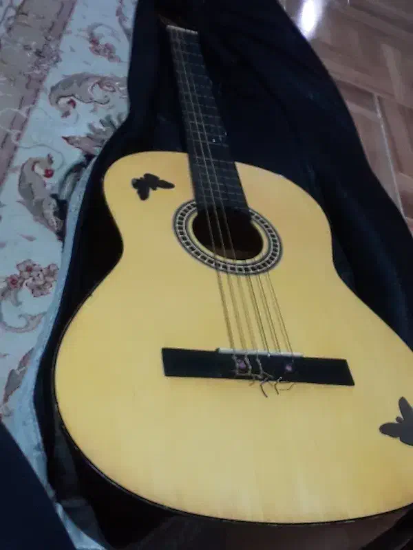 گیتار|گیتار، بیس، امپلیفایر|رشت, پاره بیجار|دیوار