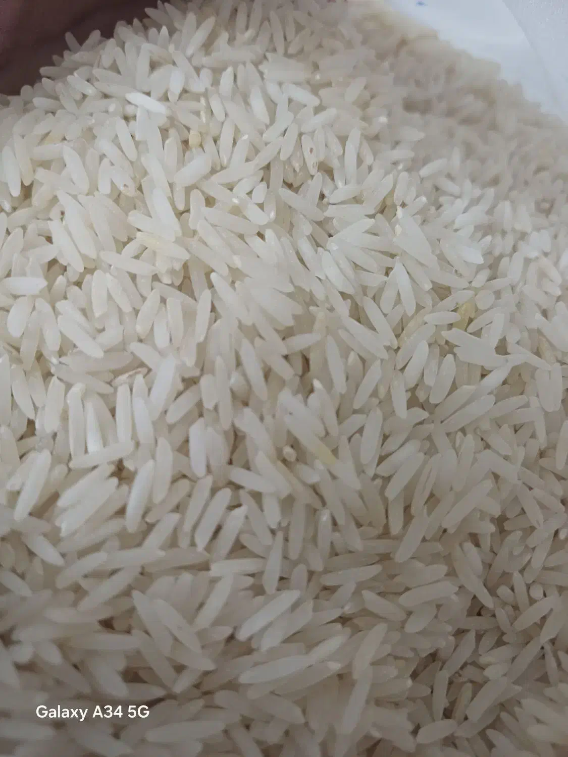 برنج تازه شالیزار/مخصوص پخت عمده و آشپزخانه ها|خوردنی و آشامیدنی|قزوین, |دیوار